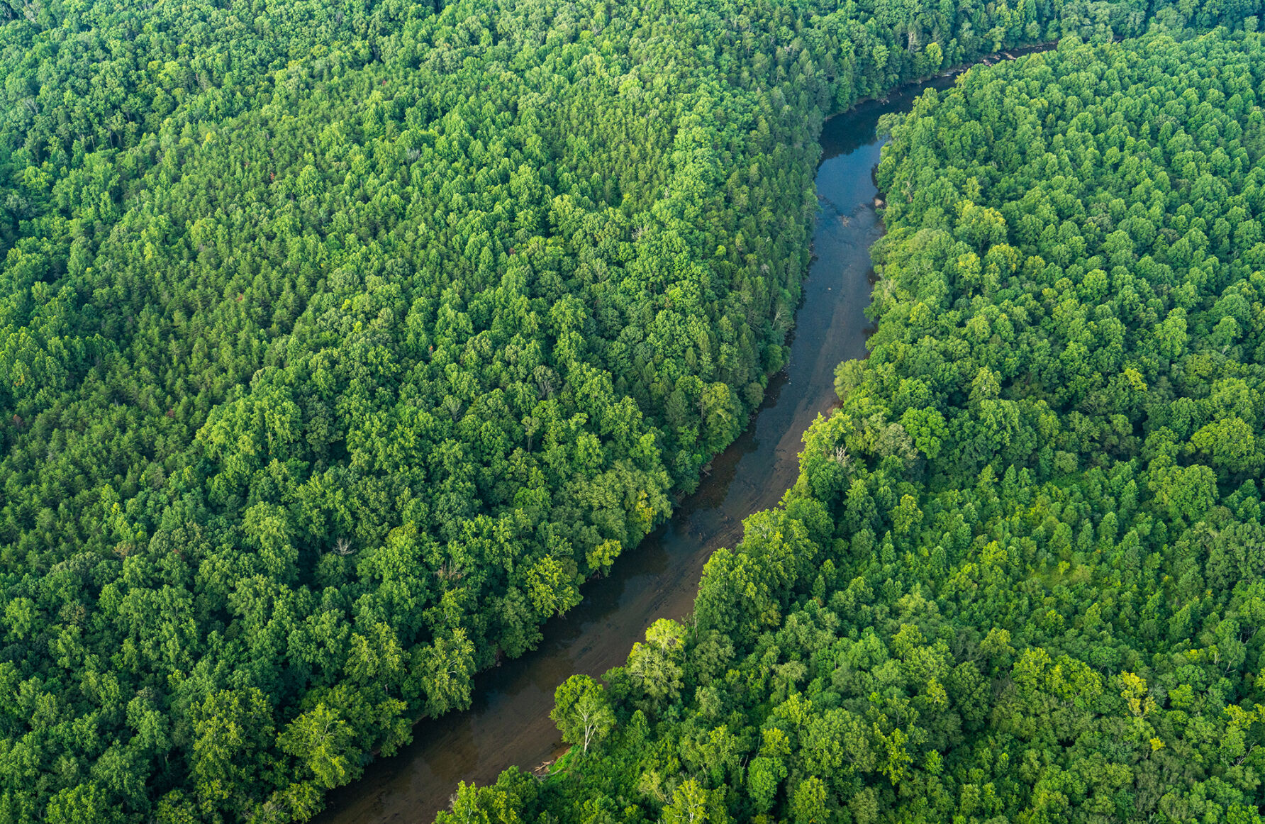 Developers strike contamination from Virginia gold mines 3 Rapidan River